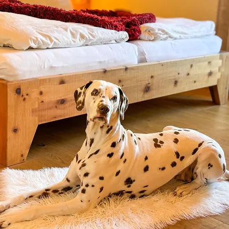 Birnbaum 別荘 グロースアルル