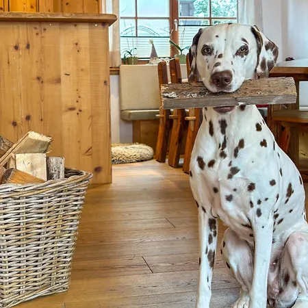 Birnbaum Semesterbostad *