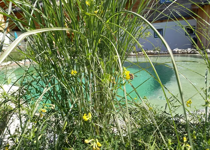 Semesterbostad Birnbaum *