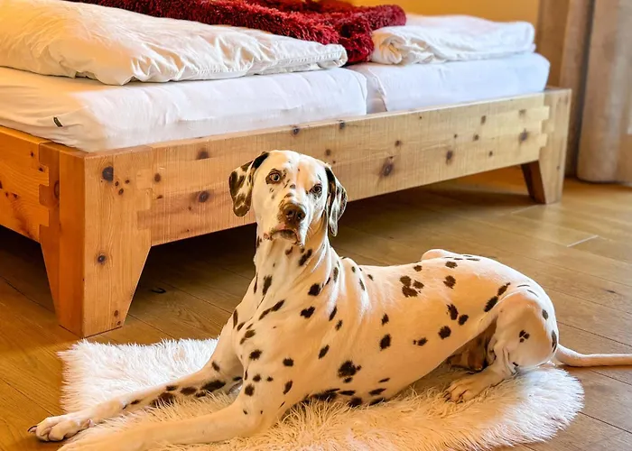 Birnbaum Semesterbostad Grossarl