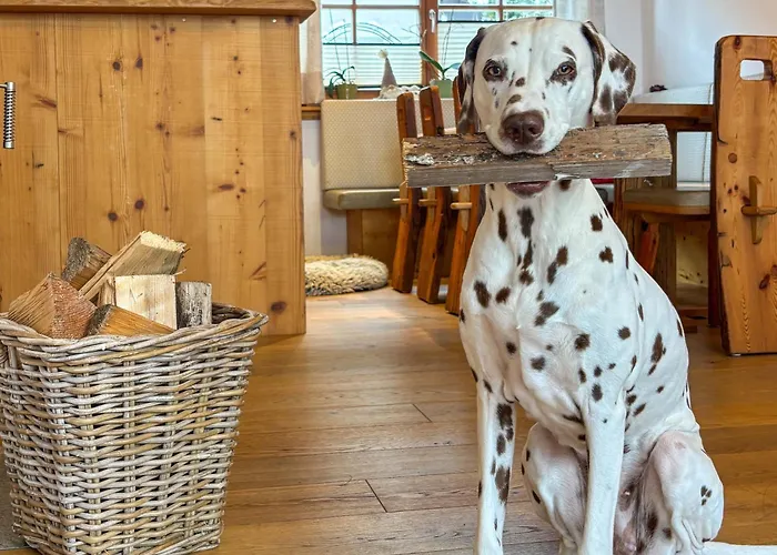 Birnbaum Semesterbostad *